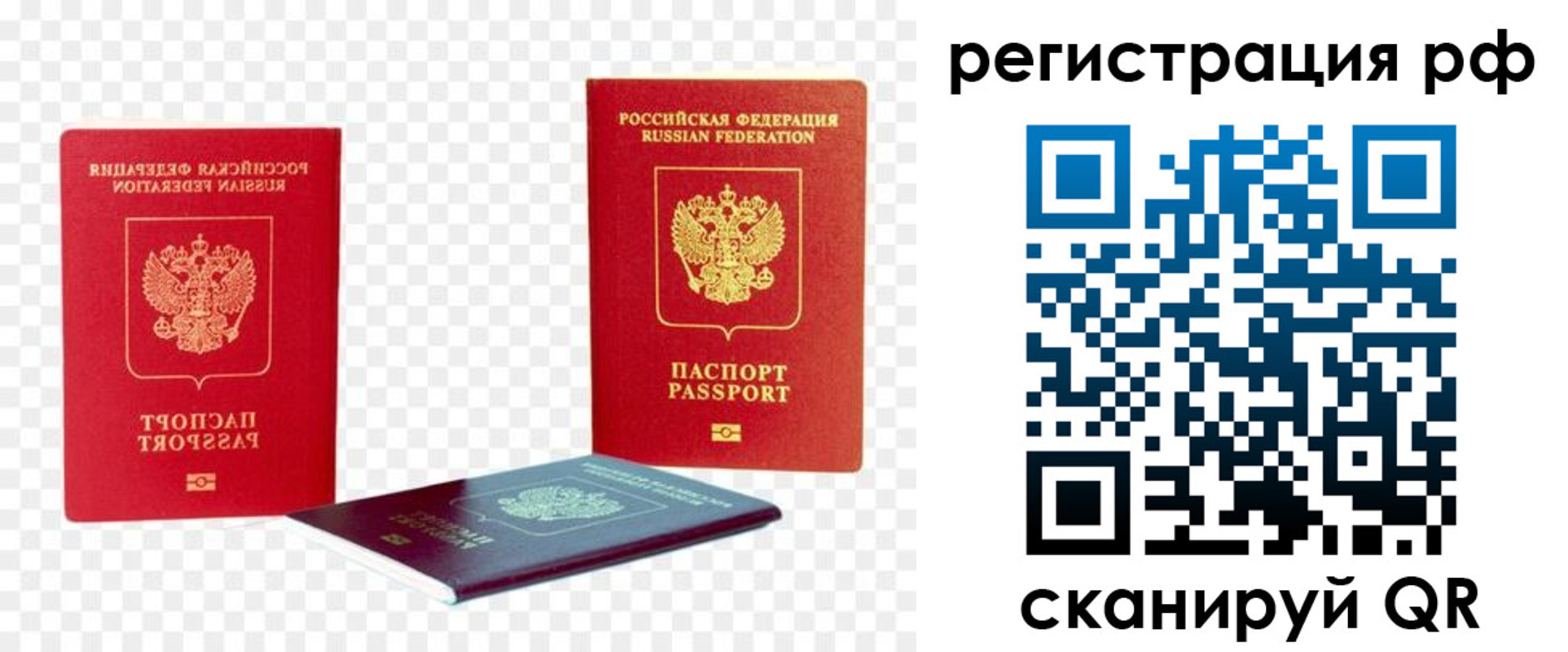 прописка паспорт в Чкаловске
