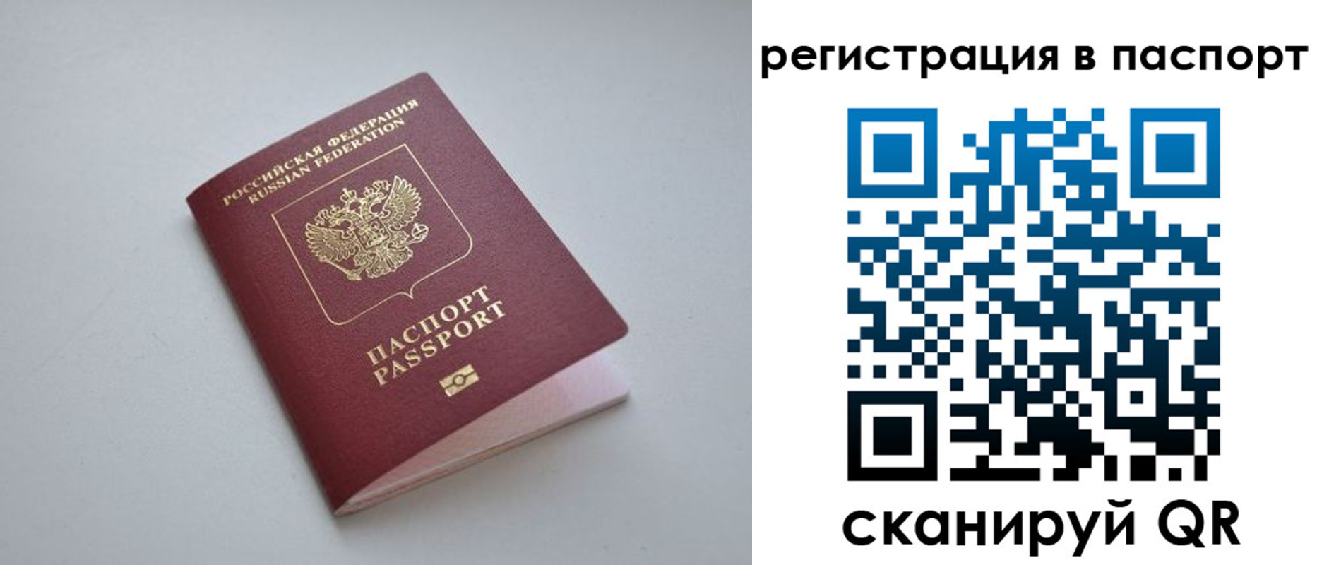 найти адрес прописки в Чкаловске